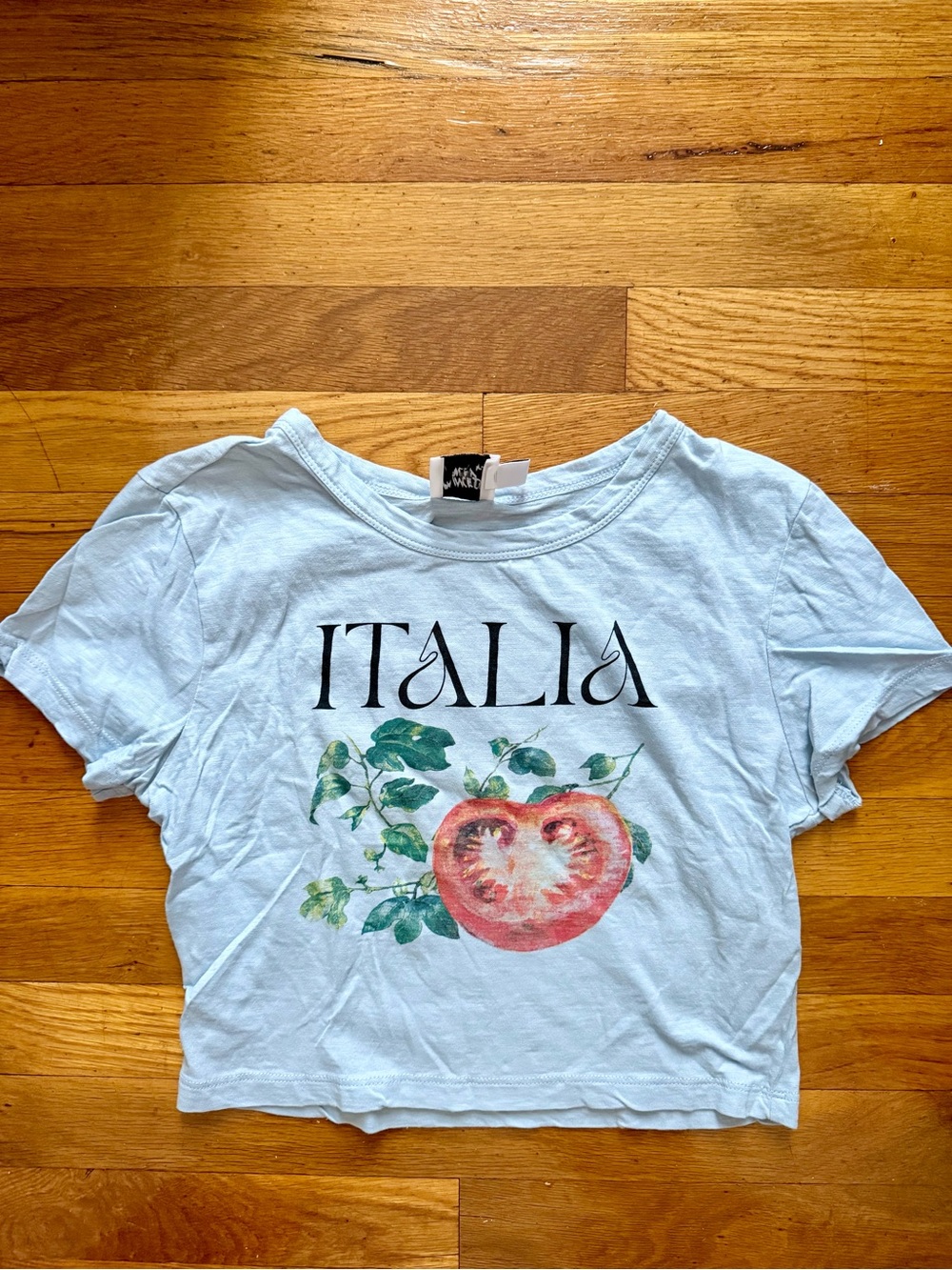 NWOT Princess Polly Baby Blue Italia Crop Tee